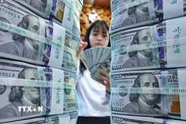 Kiểm đếm đồng USD. (Ảnh: Yonhap/TTXVN)