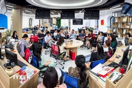 (Ảnh: Thành Đạt/ TTXVN phát)