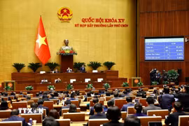 Quốc hội biểu quyết thông qua Luật sửa đổi, bổ sung một số điều của Luật Sỹ quan Quân đội Nhân dân Việt Nam. Ảnh minh họa. (Ảnh: Doãn Tấn/TTXVN)