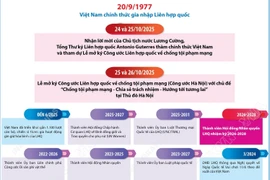 Quan hệ hợp tác Việt Nam-Liên hợp quốc