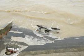 Khu vực bậc thang lên xuống phục vụ neo đậu thuyền bè của ngư dân thôn Thanh Xuân cũng bị đánh sập hoàn toàn. (Ảnh: Việt Hoàng/TTXVN)