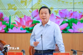 Phó Thủ tướng Trần Hồng Hà phát biểu tại cuộc họp. (Ảnh: TTXVN phát)