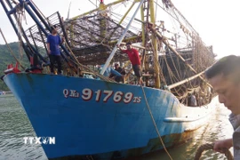 Tàu cá QNa-91769 TS cập cảng an toàn. (Ảnh: TTXVN phát)