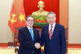Tổng Bí thư Tô Lâm tiếp Bộ trưởng Ngoại giao Cuba Bruno Rodríguez Parrilla. (Ảnh: Thống Nhất/TTXVN)