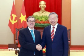Tổng Bí thư Tô Lâm tiếp Bộ trưởng Ngoại giao Cuba Bruno Rodríguez Parrilla. (Ảnh: Thống Nhất/TTXVN)