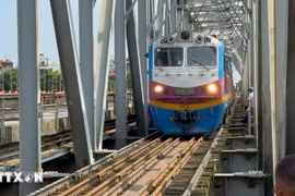 Ảnh minh họa. (Nguồn: TTXVN)