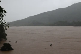 Nước sông Thu Bồn dâng cao. (Ảnh: Anh Dũng/TTXVN)