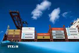 Tàu container của Công ty vận tải biển Maersk. (Ảnh: AFP/TTXVN)