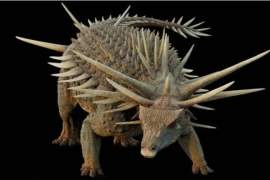 Hình ảnh phục dựng loài khủng long Spicomellus afer. (Ảnh: Bảo tàng Lịch sử Tự nhiên)