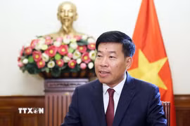 Thứ trưởng Bộ Ngoại giao Nguyễn Mạnh Cường. (Ảnh: An Đăng/TTXVN)