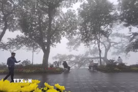 Không khí Hà Nội ở mức trung bình. (Ảnh: Thanh Tùng/TTXVN)