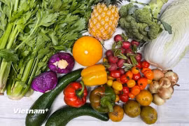 Chất lượng chế độ ăn ảnh hưởng trực tiếp đến nguy cơ mắc bệnh, tuổi thọ và sức khỏe tinh thần. (Nguồn: Vietnam+)