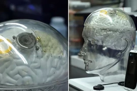 (Ảnh minh họa. Nguồn: CNN)