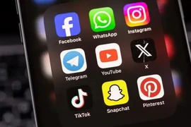 (Ảnh: Shutterstock)