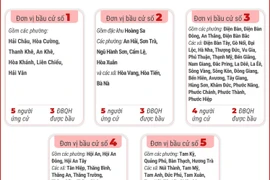 5 đơn vị bầu cử của thành phố Đà Nẵng