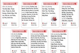 13 đơn vị bầu cử của Thành phố Hồ Chí Minh