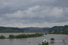 (Ảnh minh họa. Nguồn: Yonhap)