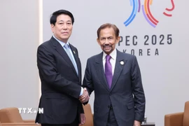 Chủ tịch nước Lương Cường và Quốc vương Brunei Hassanal Bolkiah tại APEC 2025 ở Hàn Quốc. (Ảnh: Lâm Khánh/TTXVN)
