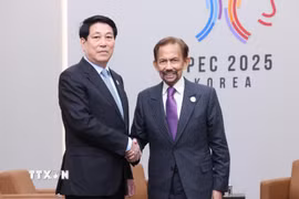 Chủ tịch nước Lương Cường gặp Quốc vương Brunei Hassanal Bolkiah. (Ảnh: Lâm Khánh/TTXVN)