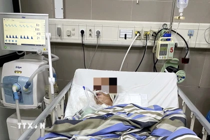 Ảnh minh họa. (Nguồn: TTXVN)