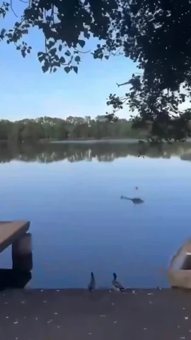 Khoảnh khắc trực thăng rơi xuống hồ khi làm nhiệm vụ chữa cháy ở Pháp