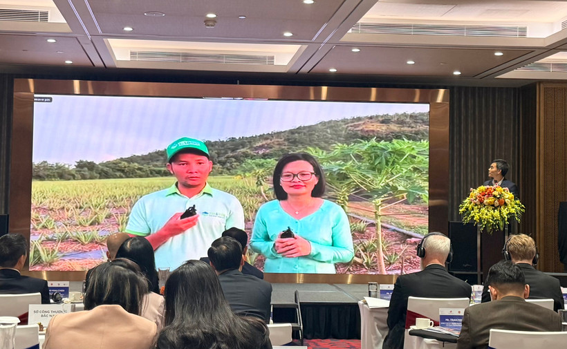 Công ty cổ phần thực phẩm Cánh Đồng Việt (Vietfarm) chia sẻ trực tiếp từ Ninh Thuận về kết quả sau khi nhận được hỗ trợ từ dự án. (Ảnh: PV/Vietnam+)