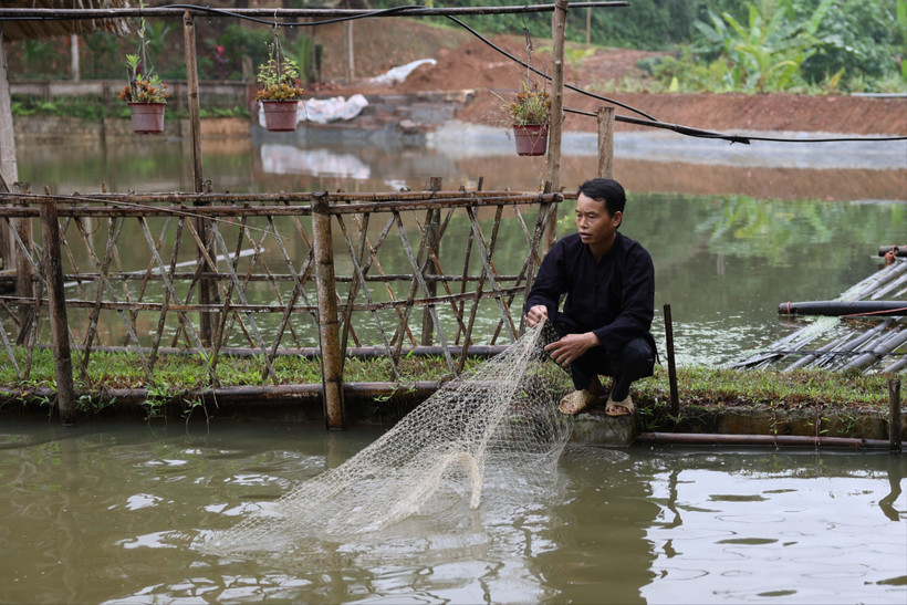 Tiêu chí thu nhập trong chuẩn nghèo đa chiều giai đoạn mới sẽ nâng lên. (Ảnh: PV/Vietnam+)