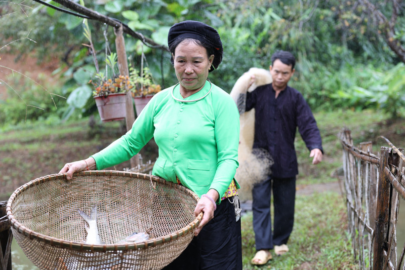 Các hộ gia đình tại xã Nghĩa Đô, tỉnh Lào Cai nuôi trồng quy mô nhỏ kết hợp du lịch sinh thái cộng đồng giúp ổn định sinh kế, mang lại hiệu quả rõ rệt trong giảm nghèo bền vững. (Ảnh: PV/Vietnam+)
