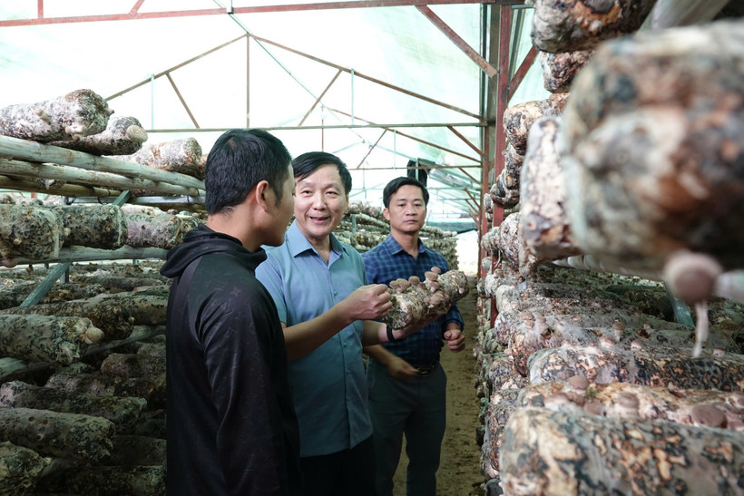 Công tác quản lý nhà nước về giảm nghèo và xây dựng nông thôn mới sẽ do Bộ Nông nghiệp và Môi trường quản lý từ 1/3. (Nguồn: Báo Nông nghiệp Việt Nam)