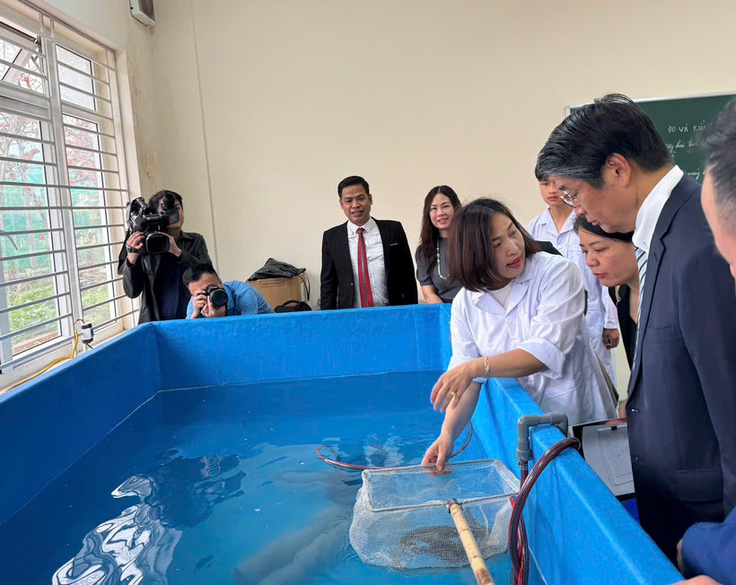 Lồng lưới thực hành nuôi trồng thủy sản được bàn giao cho Trường Cao đẳng Thủy sản và Công nghệ thực phẩm. (Ảnh: CTV/Vietnam+)