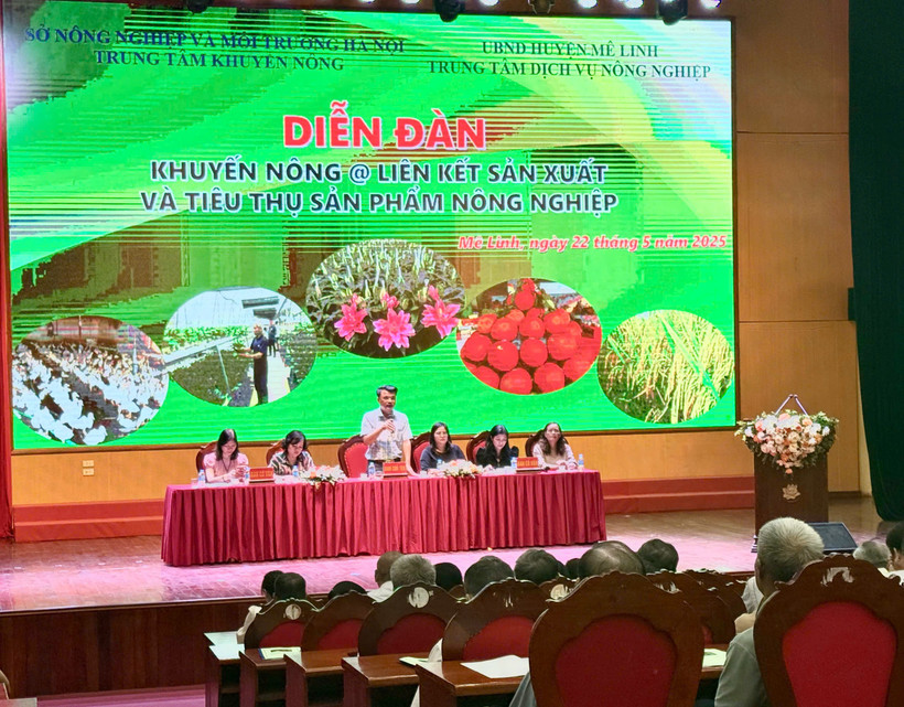 Diễn đàn Khuyến nông @ liên kết sản xuất và tiêu thụ sản phẩm nông nghiệp được tổ chức tại huyện Mê Linh, Hà Nội. (Ảnh: PV/Vietnam+)