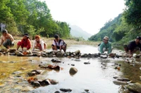 Người dân tập trung về khu vực sông Trường, bê đá đắp đập ngăn dòng chảy để bắt cá. (Ảnh: Lê Phước Ngọc/TTXVN)