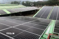Hệ thống pin điện mặt trời được lắp đặt trên mái nhà xưởng ở Khu công nghiệp Phú Tài, Gia Lai. (Ảnh: Nguyên Linh/TTXVN)