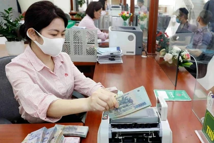 Ảnh minh họa. (Nguồn: TTXVN)