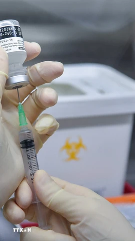 Vaccine COVID-19 giúp giảm nguy cơ sinh non và bệnh nặng ở phụ nữ mang thai. (Nguồn: TTXVN)