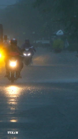 Ảnh minh họa. (Nguồn: TTXVN)