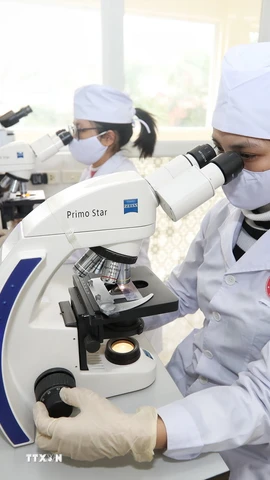 Nghiên cứu khoa học. (Nguồn: TTXVN)