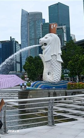 Dữ liệu từ Cơ quan Môi trường Quốc gia (NEA) cho thấy tính đến ngày 26/12, đã có 3.990 ca mắc sốt xuất huyết được báo cáo - giảm khoảng 70% so với 13.651 ca được ghi nhận vào năm 2024. (Nguồn: TTXVN)