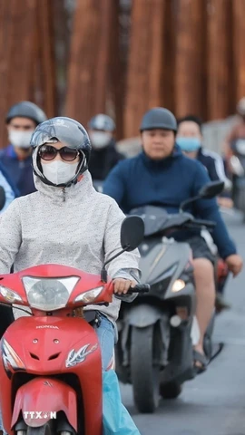 Ảnh minh họa. (Nguồn: TTXVN)