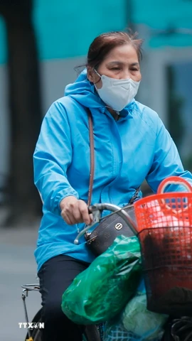 Ảnh minh họa. Nguồn: TTXVN)