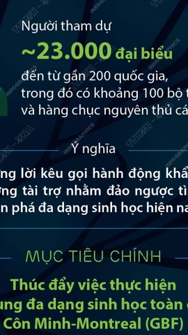 Hội nghị COP16 tìm giải pháp ngăn chặn suy giảm đa dạng sinh học