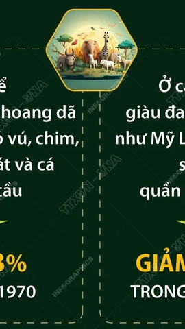 Quần thể động vật hoang dã trên thế giới giảm 70% trong 50 năm qua 