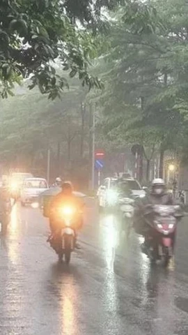 Khu vực từ Quảng Trị đến phía Đông Quảng Ngãi có mưa, mưa rào và có nơi có dông. (Ảnh: Huy Khánh/TTXVN)
