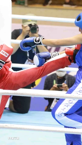 (Ảnh minh họa: TTXVN phát)