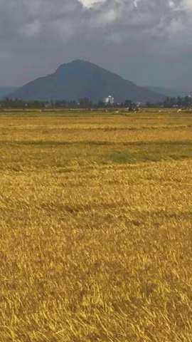 Ảnh minh họa. (Nguồn: AP)