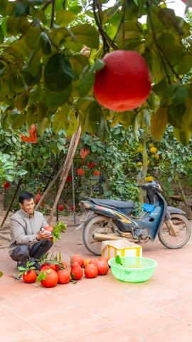 (Ảnh: Minh Sơn/Vietnam+)