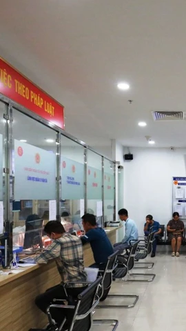 Người dân làm thủ tục cấp, đổi bằng lái xe. (Ảnh: Việt Hùng/Vietnam+)