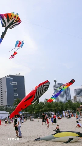 Một góc thành phố Đà Nẵng. (Nguồn: TTXVN)