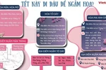 Gợi ý những điểm đến ngắm hoa dịp Tết Ất Tỵ