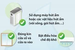 Bí quyết giữ nhà cửa khô ráo khi trời nồm ẩm